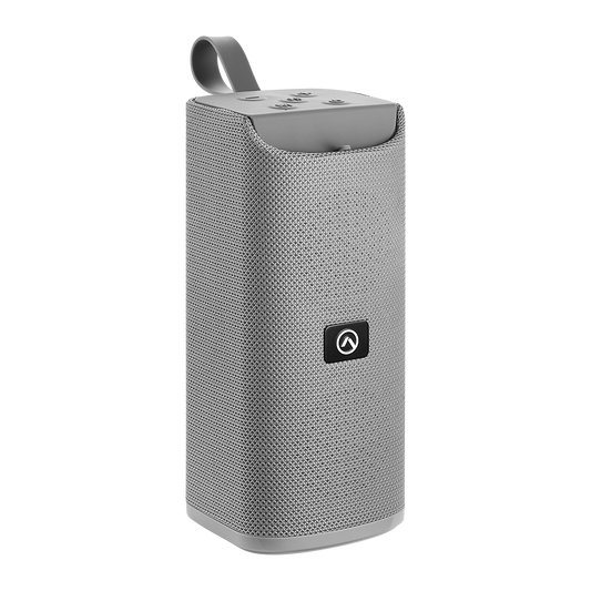 Amplify Dual BT Speaker Grey